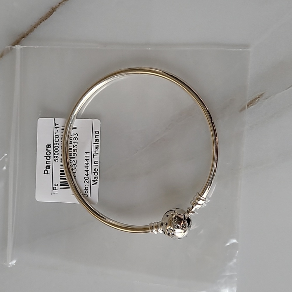 Pandora Silver Tone Bangle Bracelet